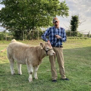 Will leads cow Will leading a cow